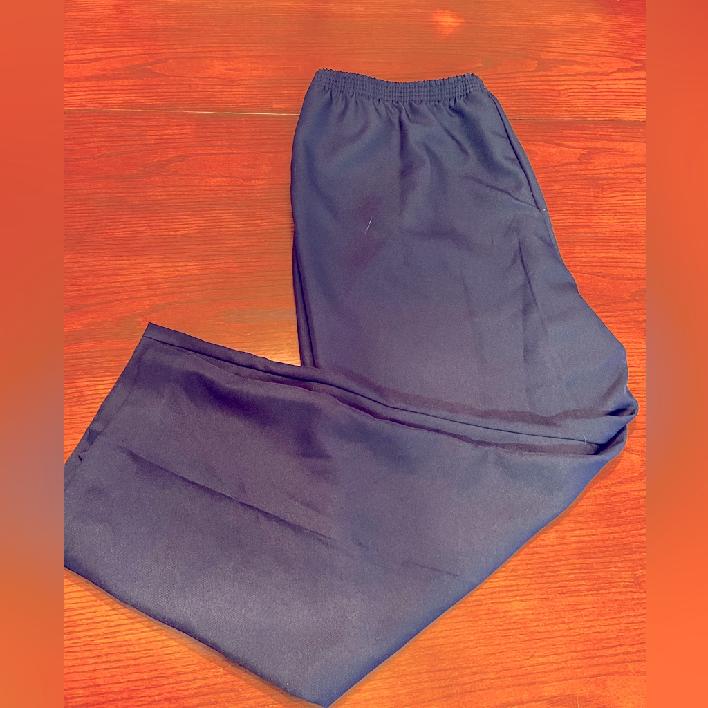 Nwot Navy Blue Pants 2x